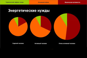 Основное правило диет Основное правило диет