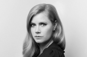 Типаж Кибби Классик, описание Типаж Кибби Классик